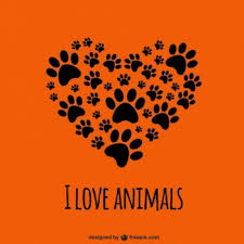 i love animals
